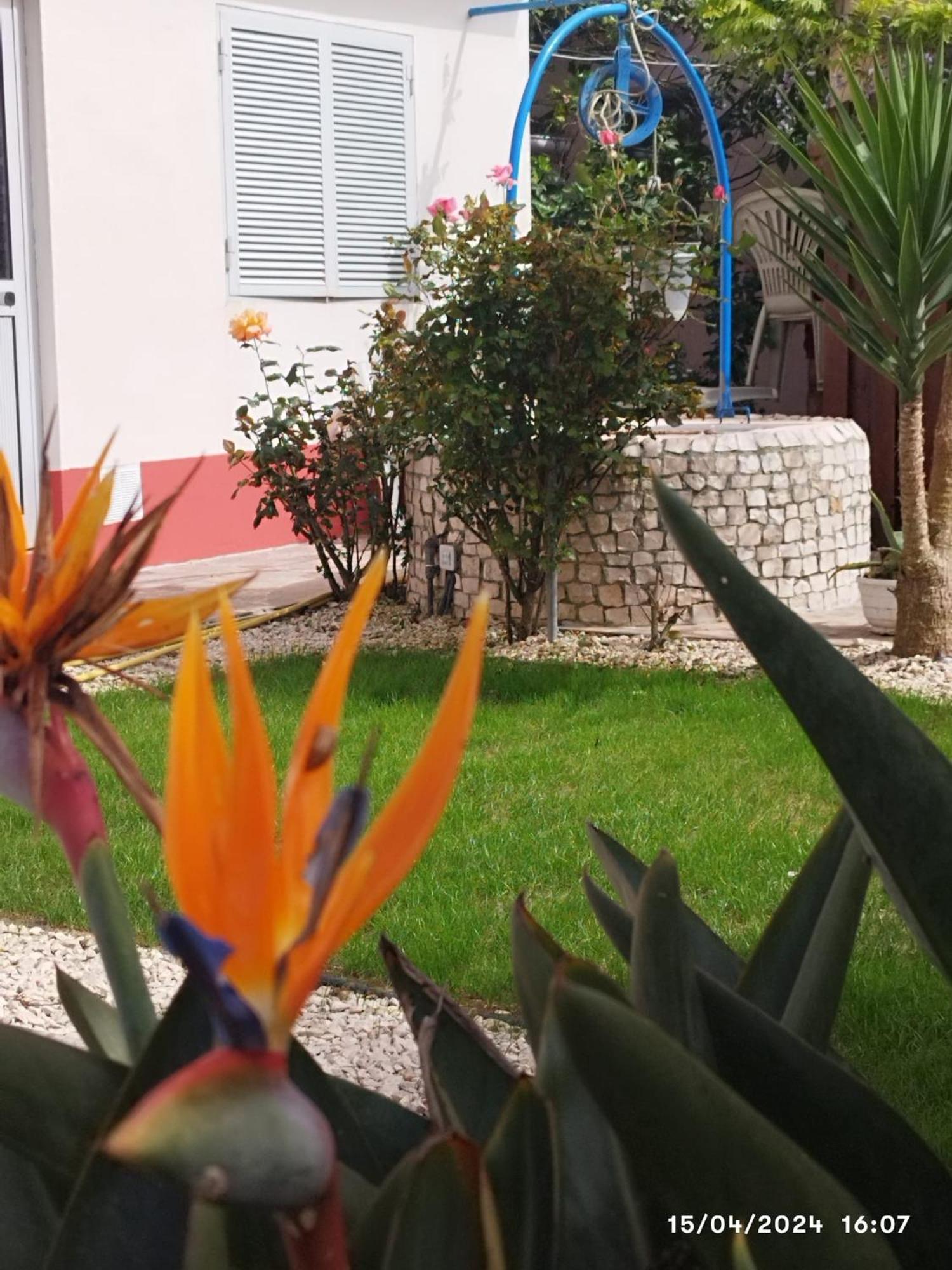 Apartament Ranch Lau&Ri Nazare Cela Velha Zewnętrze zdjęcie